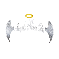Angels Never Die Co. logo